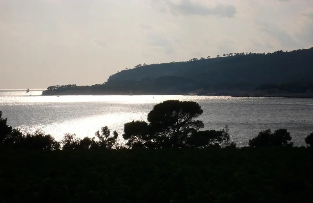 Chez Mamouska-1