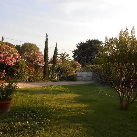 Chez Mamouska-2
